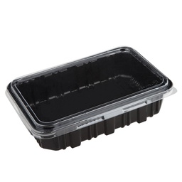[DPP0074] Disposable Food Container (100 Sets)